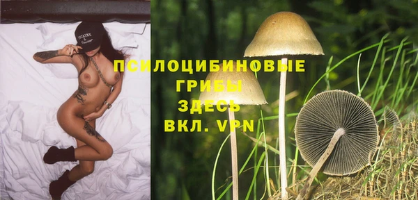spice Балахна