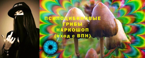 spice Балахна